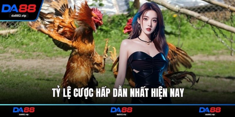 Tỷ lệ cược hấp dẫn nhất hiện nay